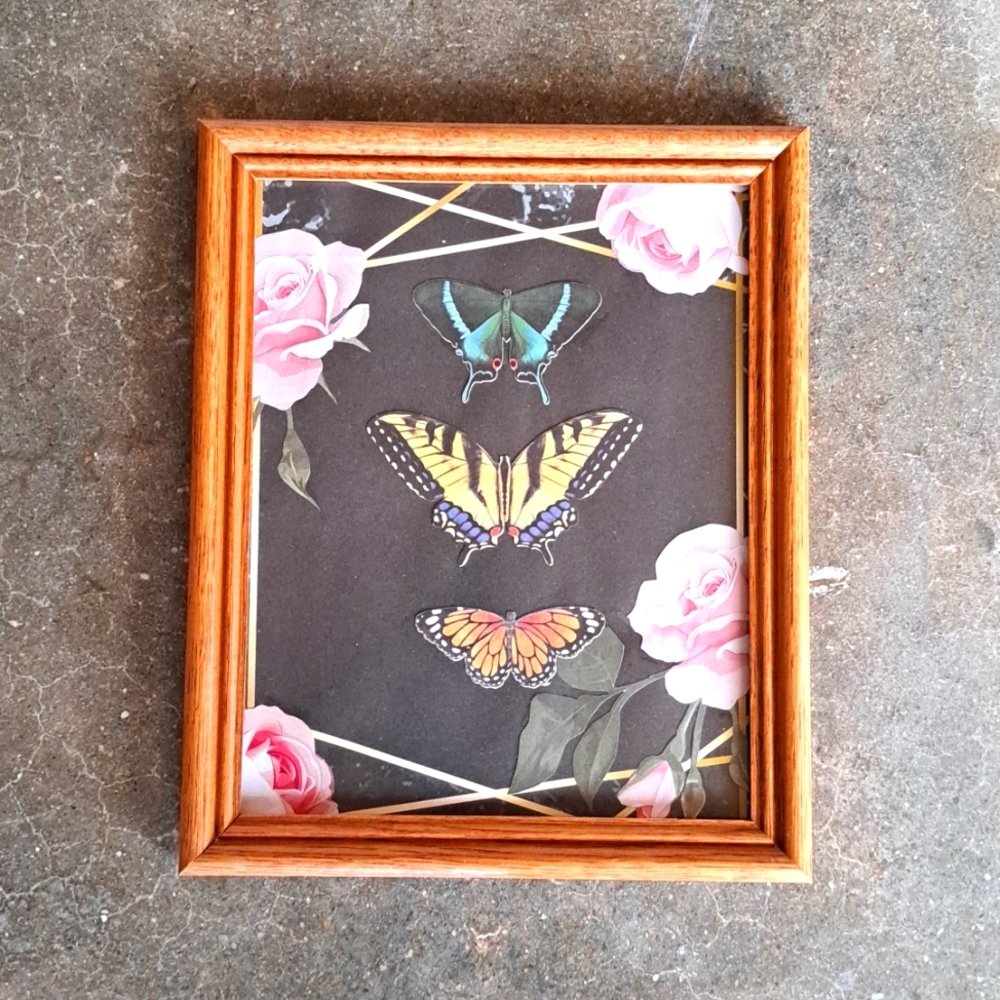 Butterfly picture